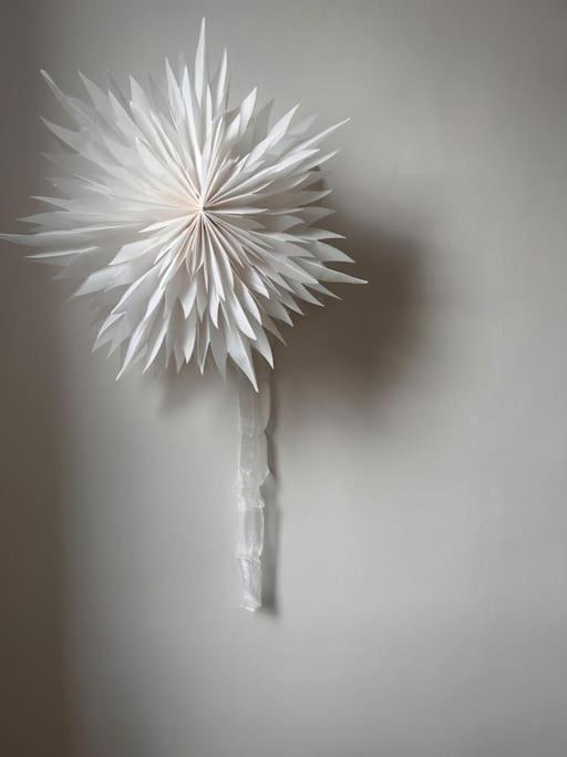 Un Fabuleux Decor Pour Un Chaleureux Appartement Parijs Buitenkant foto